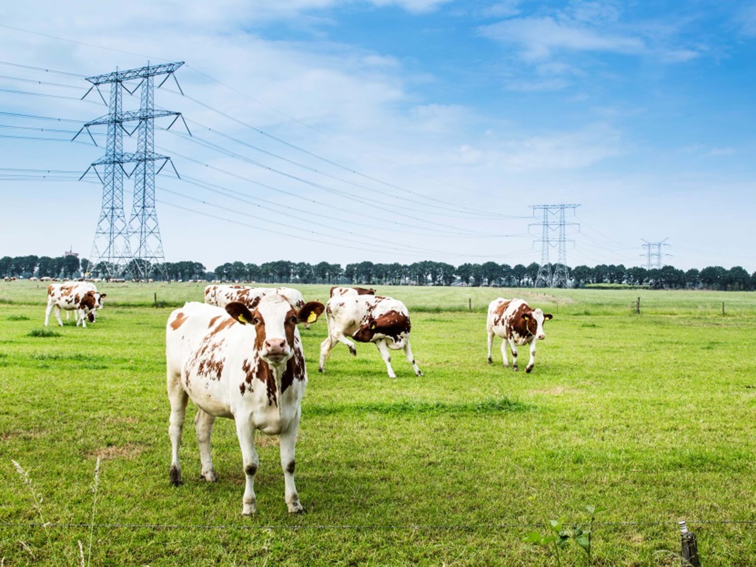 Zuid-West 380 kV Oost