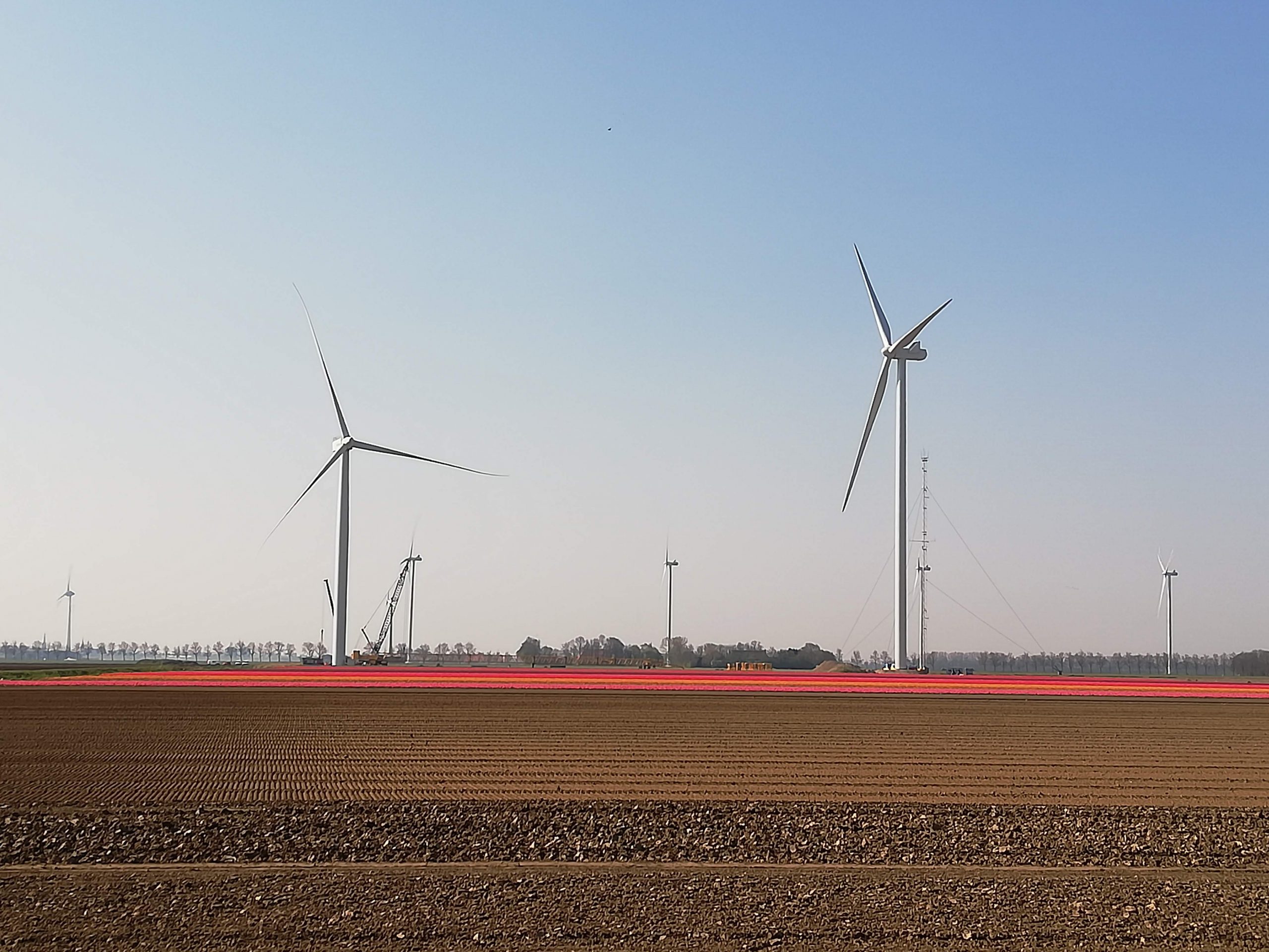 ECN Windturbine Testpark Wieringermeer II 